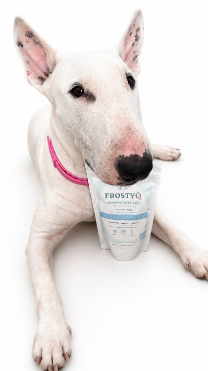 Queen. Bull Terrier de Queenlab, juntoa un envase de Frostyq Marine Blend.
